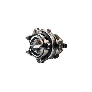 Conubia