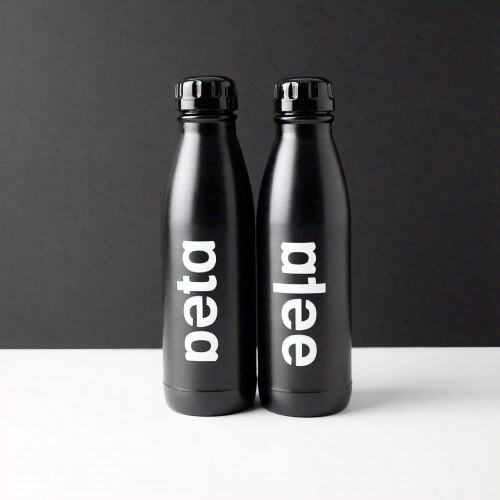 btl (1)