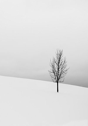 post222