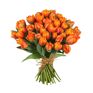 Orange Roses Bouquet