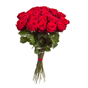Red Roses Bouquet