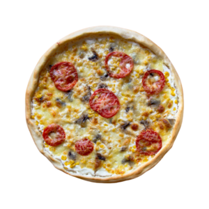 Praesent imperdiet dignissim