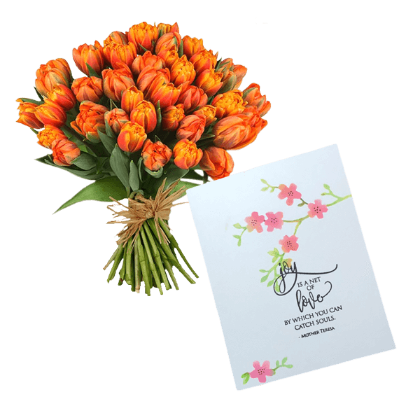 Flowers with White forest cake - Image 2