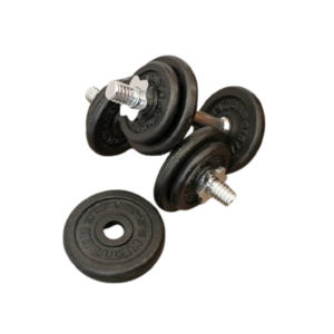 Sed pretium quam lacinia placerat