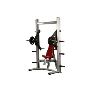 Fusce nec diam et dolor