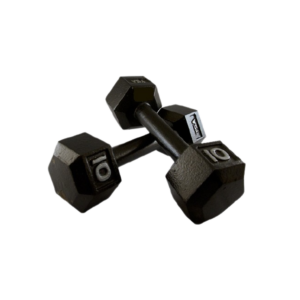 Fusce congue cursus metus