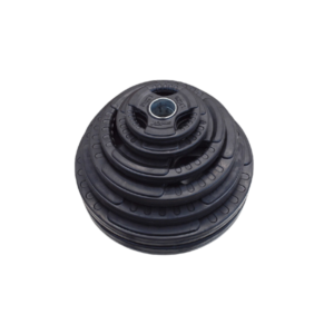 Cras viverra rhoncus