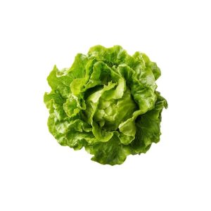 Cabbage