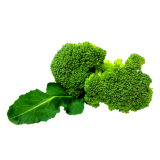 Organic Broccoli