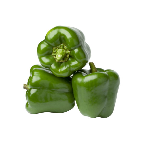 Capsicum