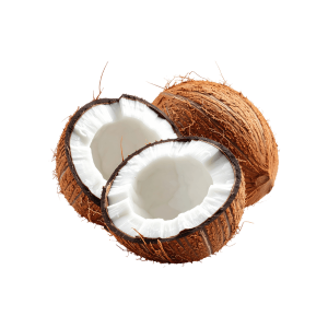 Coconut