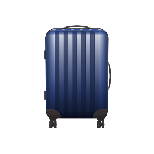 Travel Bag 1