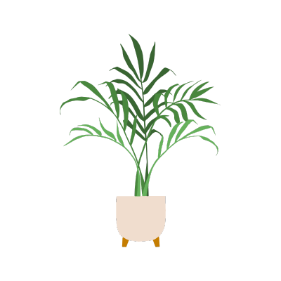 Nulla feugiat felis tempor sem